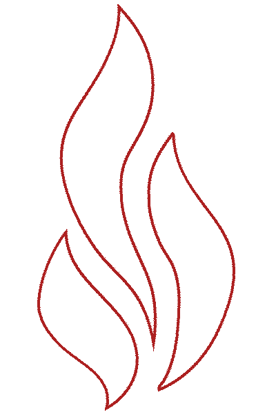 FireGold - Veronika Pavlů